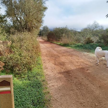 B&B Entrecolinas Paderne  Dış mekan fotoğraf