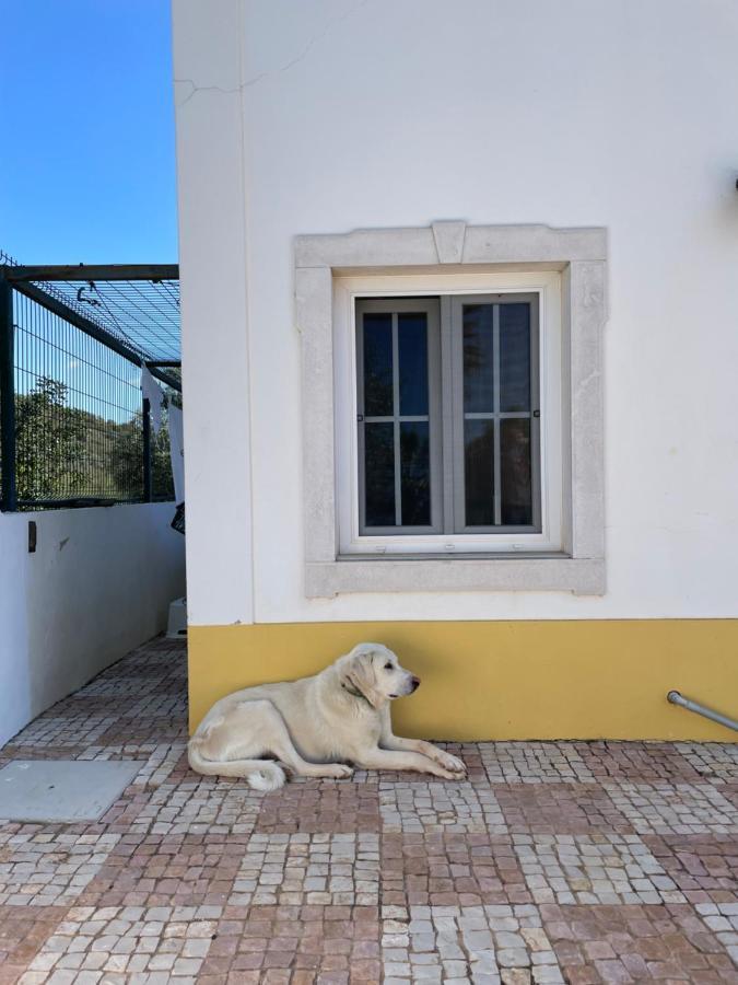 B&B Entrecolinas Paderne  Dış mekan fotoğraf