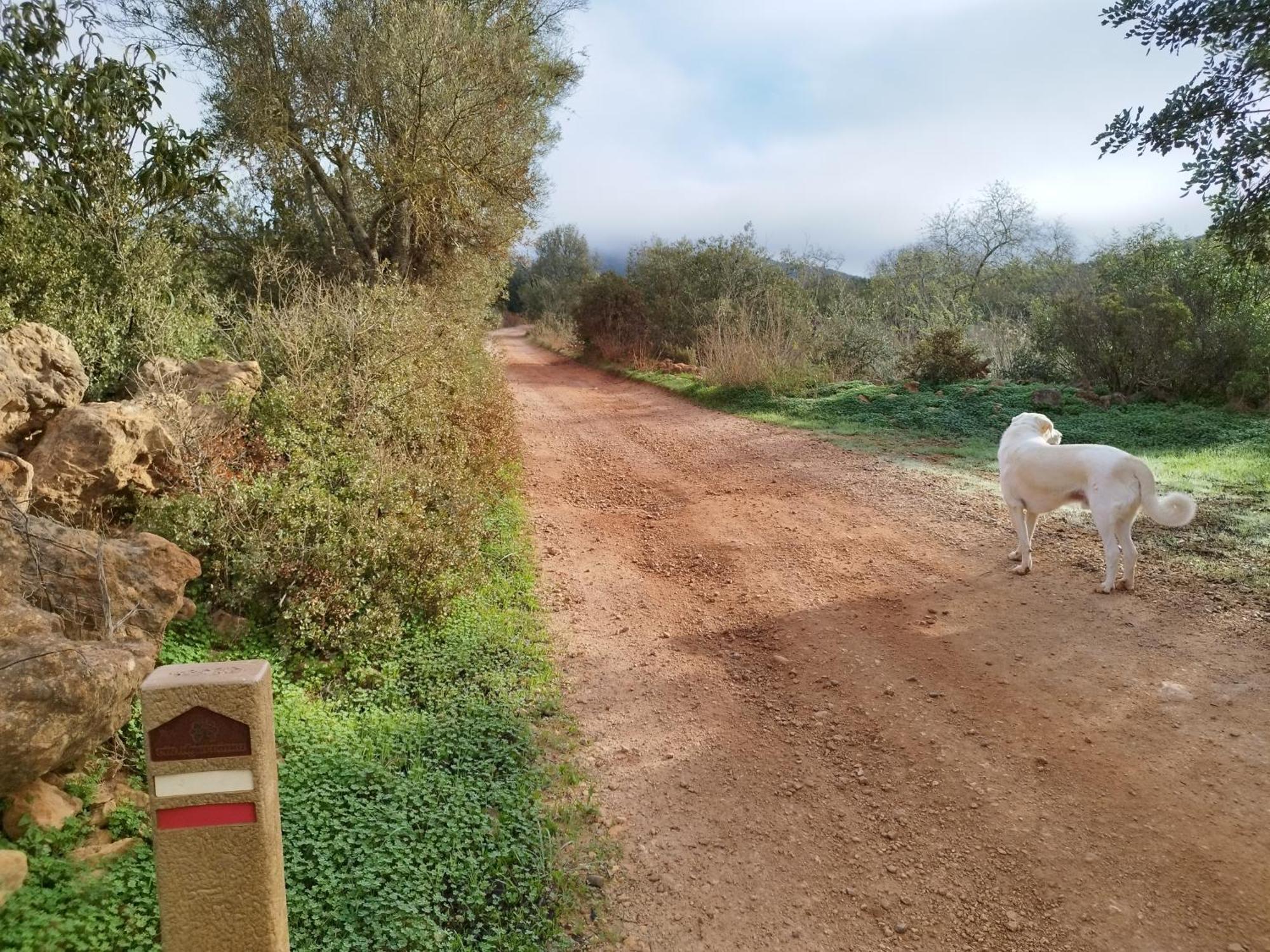 B&B Entrecolinas Paderne  Dış mekan fotoğraf
